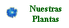 Plantas