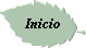 Inicio