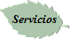 Servicios