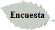 Encuesta
