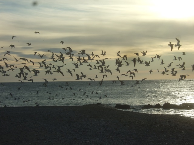 Amanece