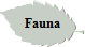 Fauna